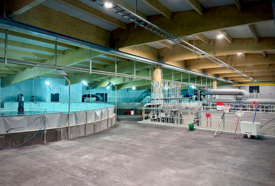 Solico Engineers GRP Pultrusion Platform for Laxey’s Post-Smolt Facility